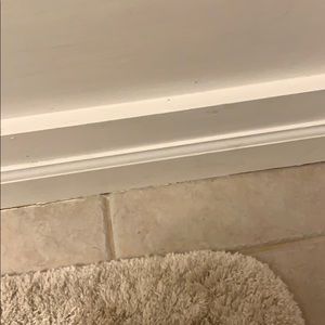 Meet your Posher, Anne